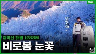 치악산 구룡사 코스 | 정상에서 미끄럼틀 | 11km 5h ️ 【강원도 원주】