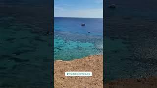 Хадаба Красное Море Снорклинг #travel #sharmelsheikh #holiday #снорклинг #shorts