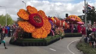 Flower Parade 2017 Netherlands