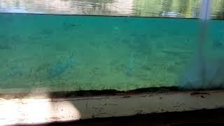 Sunup Adventures; Mzima springs underwater viewing tank