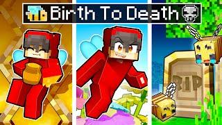 The BIRTH TO DEATH of a Minecraft Bee!