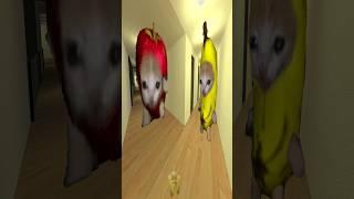 Apple Cat And Banana Cat Nextbot Gmod