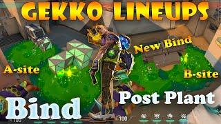 Top 15 New Bind Gekko Post Plant Lineups | Gekko Lineups Bind | Gekko Mosh Pit (Molly) Bind