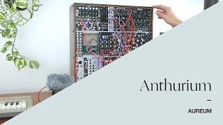 Anthurium -- Aureum [Chill Modular Synth, Found Percussion, MI Elements, 2hp Bell, Magento + More]