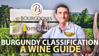 The Wine Classification System of Burgundy | Explained