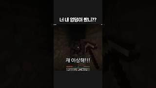 봤니? 봤어?!!