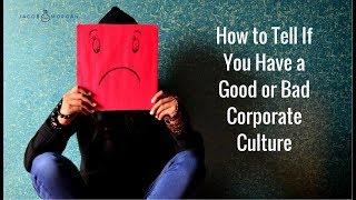 How to Tell If You Have a Good or Bad Corporate Culture - Jacob Morgan