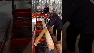 Пилим доски на ленточной пилораме Wood-Mizer LX55 в Америке #shorts #woodworking #деревообработка