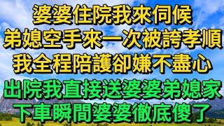 婆婆住院我來伺候，弟媳空手來一次被誇孝順，我全程陪護卻嫌不盡心，出院我直接送婆婆去弟媳家，下車瞬間婆婆徹底傻了 | 柳梦微语