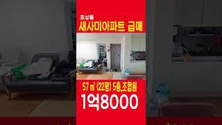 (거래완료) 효성동재건축급매 새사미아파트 22평급매 1억8000만원, 올수리, 이사협의, 정남향, 조합원승계 쇼츠 SHORTS