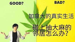 [006]真实的加拿大生活！碰上抽大麻的邻居怎么办？租公寓或买公寓前一定要避免的坑！（大麻爱好者请绕行）