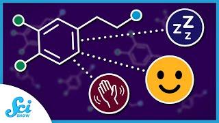 Dopamine Isn’t Just a Happy Chemical