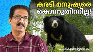 ചിതലാണ് ഇഷ്ടഭക്ഷണം, കടുവയിലും അപകടകാരി കരടി    Sloth bear feeds on fruits, ants and termites