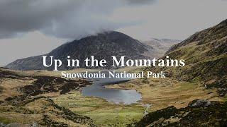 UP in the MOUNTAINS Ambience, Snowdonia National Park, Wales, UK | Relaxing Nature Sounds