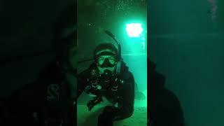 Exploring Inside a Shipwreck! Scuba Diving #SHORTS