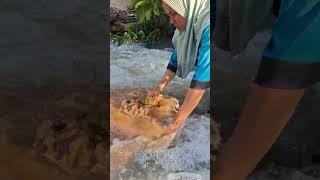 gold prospecting for beginners.