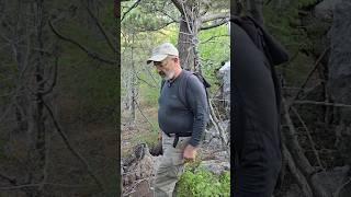 Красота дерева во второй жизни - взгляд мастера #woodcarving