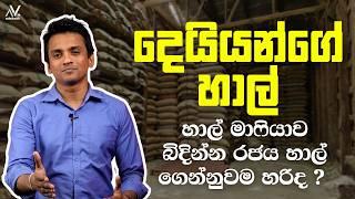 දෙයියන්ගේ හාල් | Dhananath Fernando