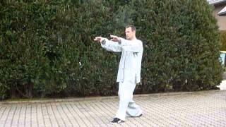 Drachentor Taijiquan  13er