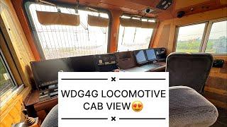 Loco Pilot Rishi, RAILWAY LOCO PILOT DUTY