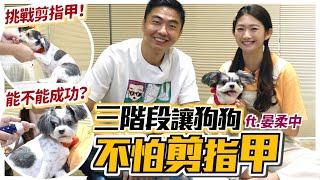 三階段讓狗狗不怕剪指甲！能不能挑戰成功？ft.晏柔中How to Cut Your Dog's Nails｜熊爸估狗