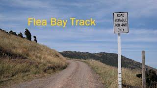 Flea Bay Overlanding Track