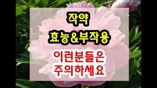 백작약 / 적작약 / 작약 효능과 부작용 잘 알고 드셔야해요~