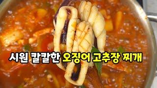 임영웅씨가 좋아하는 오징어 고추장찌개 레시피 비싼 해물탕보다 100배 맛있어요