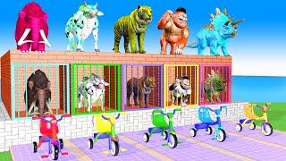 Cow Elephant Tiger Gorilla Hippo 3d Animal Long Slide Game Funny 3d Paint Animals Cage Game