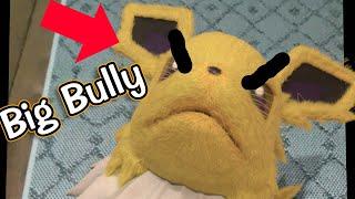 My real JOLTEON is a BULLY!