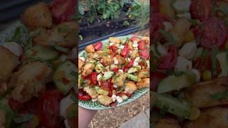 Panzanella! #gardenharvest #gardening #gardeninginspiration #gardentotable