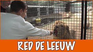 Wat doet Stichting Leeuw allemaal? | DierenpraatTV