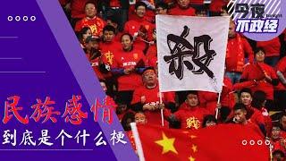 民族感情到底是个什么梗｜今夜不政经（李其、艾睿、汪比利）