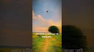 MD SHAHID