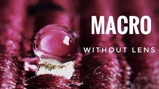 How to Shoot Macro Without A Macro Lens | Mobile Photography | Sam Augustine