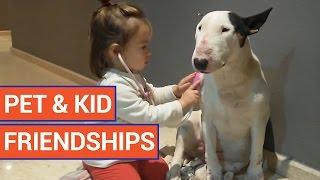 Cute BFF Kid and Pet Video Compilation 2016