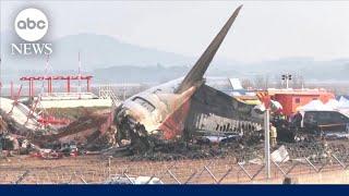 Survivor speaks out after deadly plane crash in South Korea