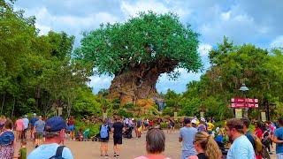 Disney's Animal Kingdom 2022, Orlando, Florida |  Walkthrough Tour September 2022