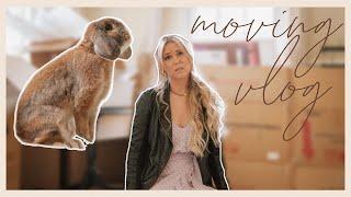 Moving with a Rabbit