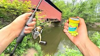 Eating Whatever I Catch.. Creek Fishing for Stocked Trout (Catch and Cook)