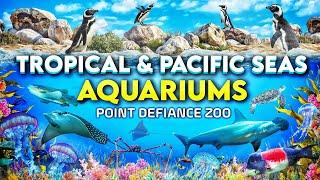 Zoo Tours: Tropical & Pacific Seas Aquariums | Point Defiance Zoo