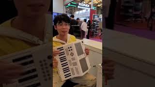 Hesedion: Um novo instrumento para uma nova era #acordeão #piano #guitarra #órgão#saxofone#kpop #apt