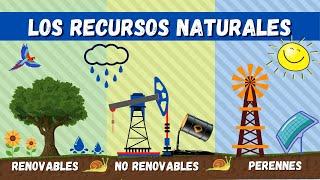 Recursos Naturales | Videos Educativos Para Niños