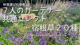 ガーデンで見て納得️プロ７人が共通して選んだ宿根草20種は美しくて元気いっぱいでした