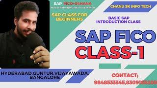 #Class 1:SAP Introduction Class//SAP FICO For Beginners,sap fico demo class,SAP Course For Beginners