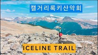 Calgary Rockies - Iceline Trail in Yoho National Park