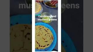 Ishqam | Cornbread and mustard greens | Umair Creations