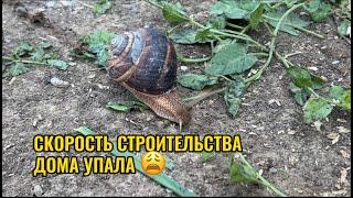 СКОРОСТЬ СТРОИТЕЛЬСТВА ДОМА УПАЛА