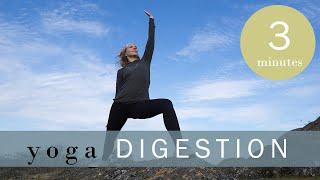 Daily Yoga for Digestion