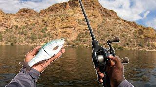 Fishing A SECRET Canyon Lake In The Middle Of The Desert For Big Fish!